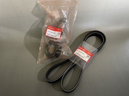 Tensionatore automatico